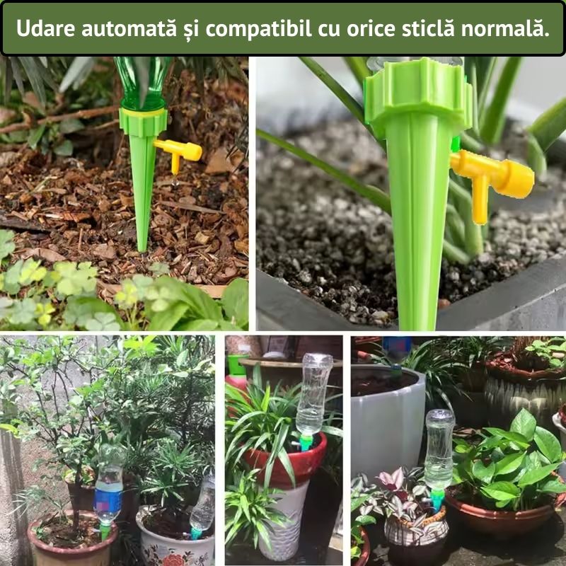 Set 30 picuratori automate pentru plante – Udare usoara si controlata